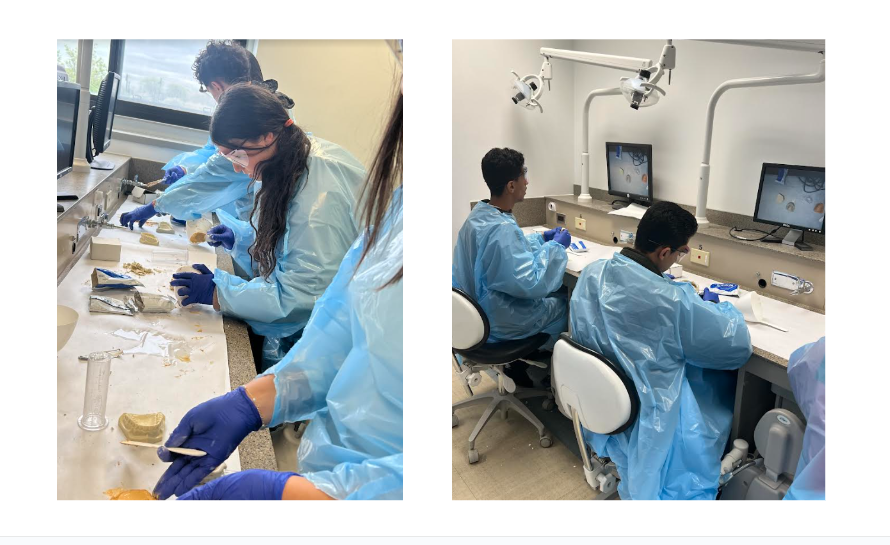 Stout Students Explore the Career of Dentistry at the University of Detroit Mercy